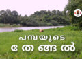 പമ്പയുടെ തേങ്ങൽ