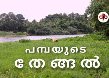 പമ്പയുടെ തേങ്ങൽ