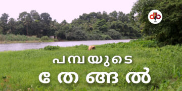 പമ്പയുടെ തേങ്ങൽ