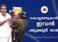 കൊല്ലം പള്ളിമുക്കിൽ എല്ലാവർക്കും കൗതുകമുണർത്തി ഒരു ഭീമൻ പോത്ത്