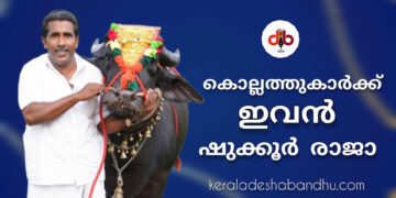 കൊല്ലം പള്ളിമുക്കിൽ എല്ലാവർക്കും കൗതുകമുണർത്തി ഒരു ഭീമൻ പോത്ത്