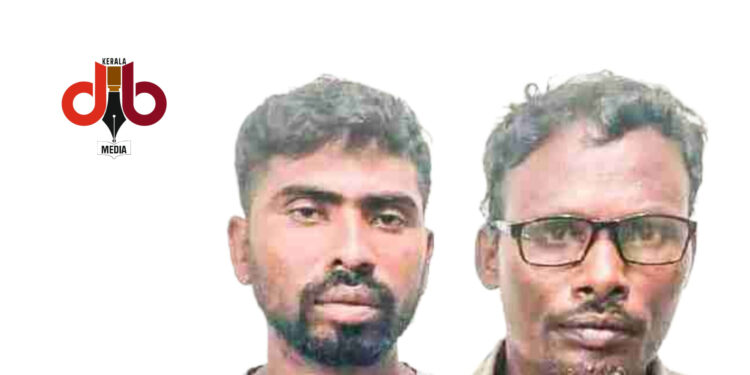 എട്ടുകിലോ കഞ്ചാവുമായി ഒഡിഷ സ്വദേശികൾ പിടിയിൽ”