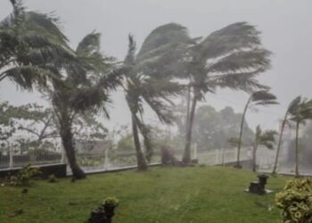 ഇന്ന് 6 ജില്ലകളിൽ യെല്ലൊ അലർട്ട്; പുതിയ ചക്രവാതചുഴി രൂപപ്പെടാൻ സാധ്യത