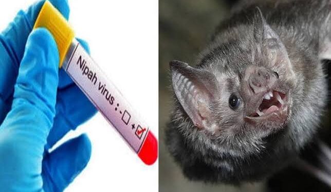 നിപ സംശയം; സമ്പര്‍ക്കം പുലര്‍ത്തിയവരെ കണ്ടെത്താനുള്ള ശ്രമം ആരംഭിച്ചു; ഇന്ന് ഉച്ചയോടെ ഫലം ലഭിക്കും