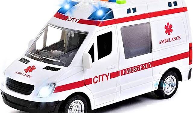 ആംബുലൻസ് ജീവനക്കാർ രക്ഷകരായി; വീട്ടിൽ പ്രസവിച്ച അന്തർ സംസ്ഥാന തൊഴിലാളി യുവതിക്ക്