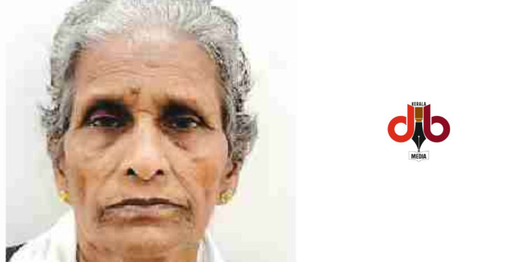 മകനെ കോടാലികൊണ്ട് അടിച്ചുകൊന്ന മാതാവ് റിമാൻഡിൽ