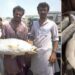 മീൻപിടുത്തക്കാർക്ക് ലഭിച്ചത് അത്യപൂര്‍വ മത്സ്യം, വില ഒന്നിന് 70 ലക്ഷം; ഒറ്റരാത്രി കൊണ്ട് കോടീശ്വരന്മാരായി
