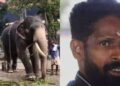 ഗുരുവായൂർ ആനത്താവളത്തിൽ ആനയുടെ ആക്രമണത്തിൽ പാപ്പാൻ മരിച്ചു