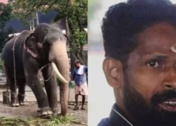 ഗുരുവായൂർ ആനത്താവളത്തിൽ ആനയുടെ ആക്രമണത്തിൽ പാപ്പാൻ മരിച്ചു