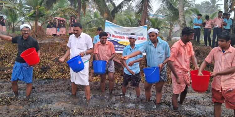 പുഞ്ചപാടത്തു വിത്തുവിതച്ച്; കുട്ടികർഷകർ