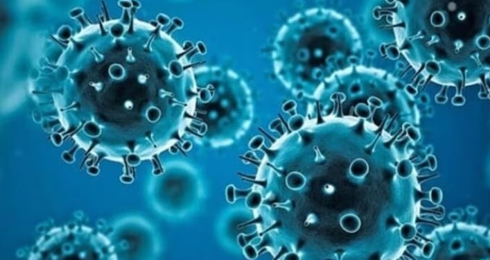 24 മണിക്കൂറിനിടെ സംസ്ഥാനത്ത് 266 പുതിയ കോവിഡ് കേസുകൾ കൂടി; സ്ഥിരീകരിച്ചു