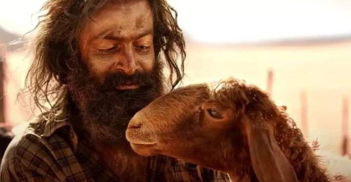 അതിവേഗത്തിൽ അൻപത് കോടി ക്ലബ്ബിലെത്തുന്ന ആദ്യ മലയാള സിനിമയാകാൻ ആടുജീവിതം