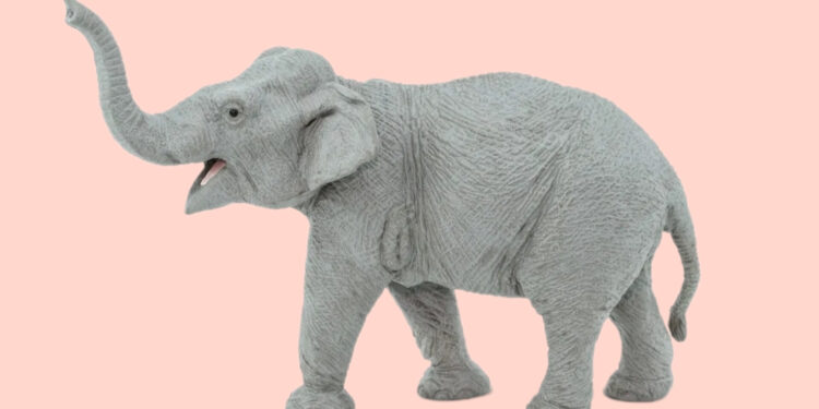 പത്തനംതിട്ടയില്‍ വനത്തിനുള്ളിലെ ആറ്റിൽ മീന്‍പിടിക്കാന്‍ പോയ ആളെ; കാട്ടാന ചവിട്ടിക്കൊന്നു