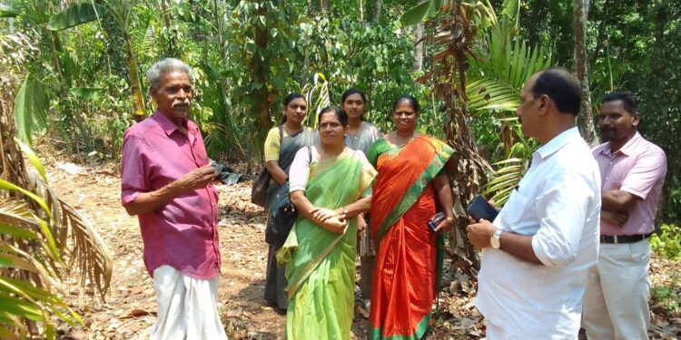 വരൾച്ച ബാധിച്ച കൃഷിയിടം എംഎൽഎ സന്ദർശിച്ചു