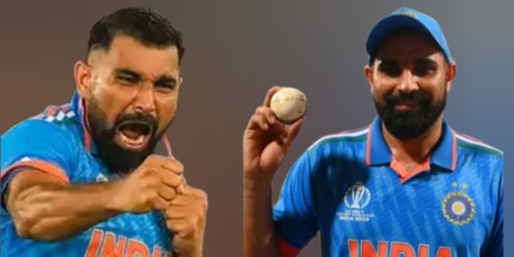 ക്രിക്കറ്റ് താരം മുഹമ്മദ് ഷമി; ബംഗാളിൽ നിന്ന് ബിജെപി സ്ഥാനാർത്ഥിയാക്കിയേക്കും