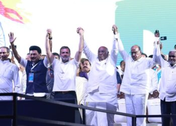 ഇലക്‌ട്രോണിക് വോട്ടിങ് യന്ത്രങ്ങളും ഇഡിയും സിബിഐയും ആദായനികുതി വകുപ്പുമില്ലാതെ മോദിക്കു തെരഞ്ഞെടുപ്പ് ജയിക്കാനാവില്ല: രാഹുൽ