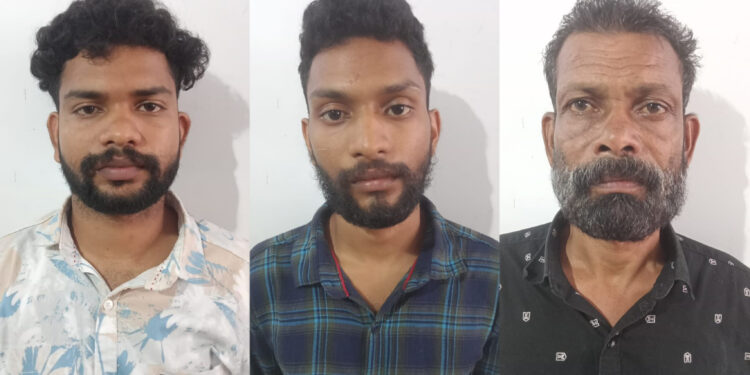 യുവാവിനെ കൊലപ്പെടുത്താൻ ശ്രമിച്ച കേസിൽ ഒളിവിൽ കഴിഞ്ഞിരുന്ന മൂന്നുപേർ കൂടി അറസ്റ്റിൽ
