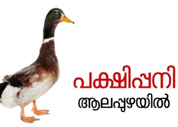 ആലപ്പുഴ ജില്ലയിൽ വീണ്ടും പക്ഷിപ്പനി സ്ഥിരീകരിച്ചു