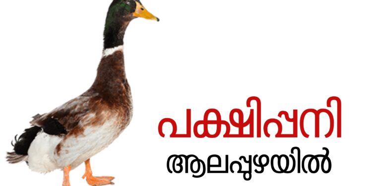 ആലപ്പുഴ ജില്ലയിൽ വീണ്ടും പക്ഷിപ്പനി സ്ഥിരീകരിച്ചു
