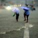 മഴയ്ക്കും ശക്തമായ കാറ്റിനും സാധ്യത കേരളത്തിലെ 7 ജില്ലകളിൽ