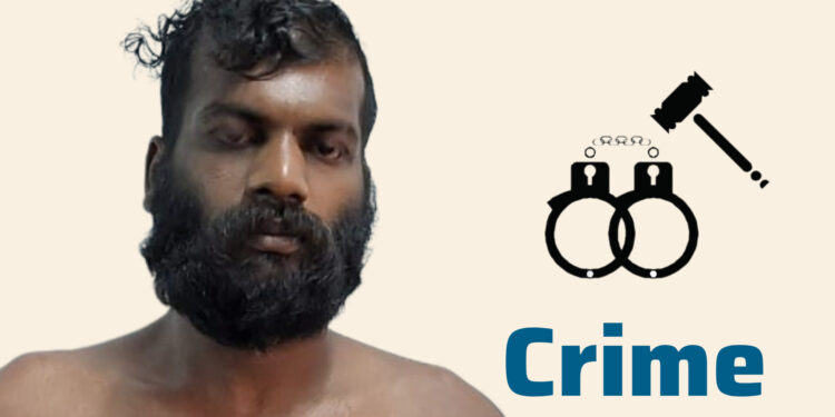 വൃദ്ധയുടെ കമ്മൽ കവർന്ന കേസിൽ യുവാവ് അറസ്റ്റിൽ