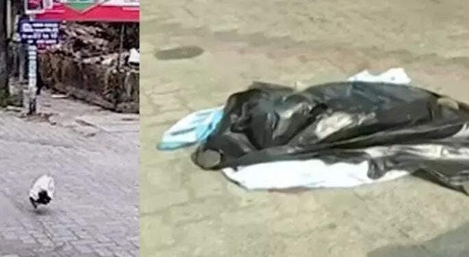 നവജാത ശിശുവിൻ്റെ കൊലപാതകം: പോലീസ് ഇന്ന് വിശദാംശങ്ങൾ കോടതിയെ അറിയിക്കും
