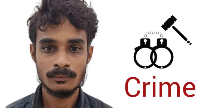 മധ്യവയസ്കയെ വീട് കയറി ആക്രമിച്ച കേസിൽ യുവാവ് അറസ്റ്റിൽ