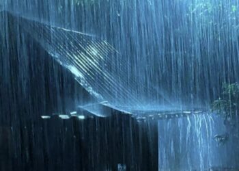 മഴയ്ക്ക് സാധ്യത: 8 ജില്ലകളിൽ മഴ ലഭിച്ചേക്കുമെന്ന് കേന്ദ്ര കാലാവസ്ഥ വകുപ്പ്
