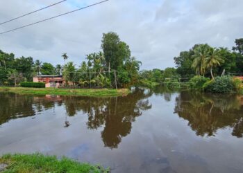വട്ടടി കടവിൽ പാലം നിർമ്മിക്കണമെന്ന ആവശ്യം ശക്തം: ജനകീയ സംഗമം ജൂൺ 15ന്