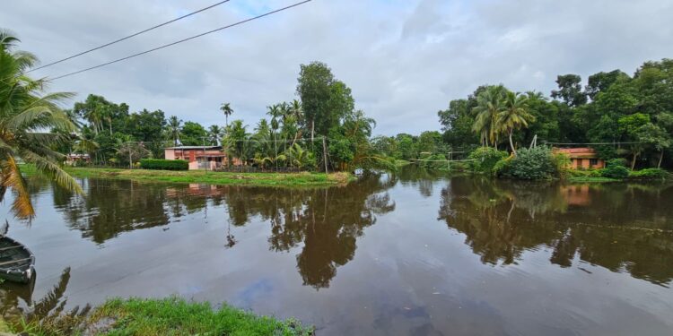 വട്ടടി കടവിൽ പാലം നിർമ്മിക്കണമെന്ന ആവശ്യം ശക്തം: ജനകീയ സംഗമം ജൂൺ 15ന്