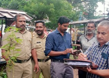 കോട്ടയം മെഡിക്കൽ കോളേജിന് മുൻ വശത്ത് നിന്നും കഞ്ചാവ് ചെടി പിടികൂടി