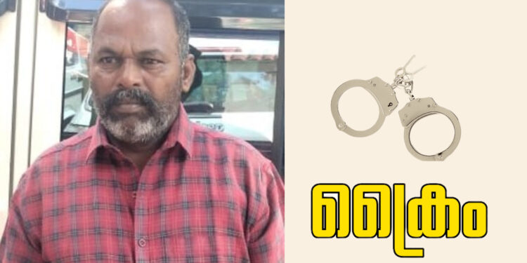 ജാമ്യത്തിലിറങ്ങി ഒളിവിൽ കഴിഞ്ഞിരുന്ന പിടികിട്ടാപുള്ളി പിടിയിൽ