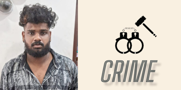 പോക്സോ കേസിൽ യുവാവ് അറസ്റ്റിൽ: പ്രായപൂർത്തിയാകാത്ത പെൺകുട്ടിയെ പീഡിപ്പിച്ചതിന്