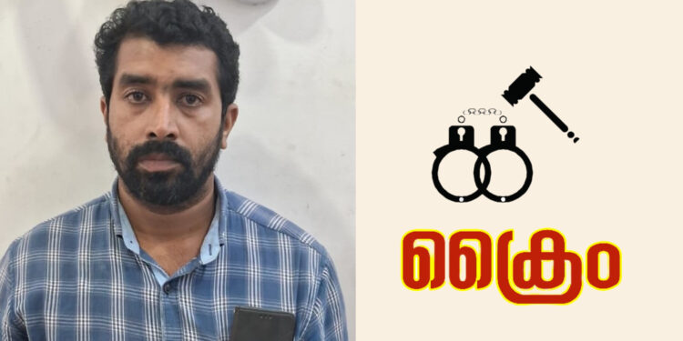 പെൺകുട്ടിയുടെ നേരെ നഗ്നതാ പ്രദർശനം: പോക്സോ കേസിൽ യുവാവ് അറസ്റ്റിൽ
