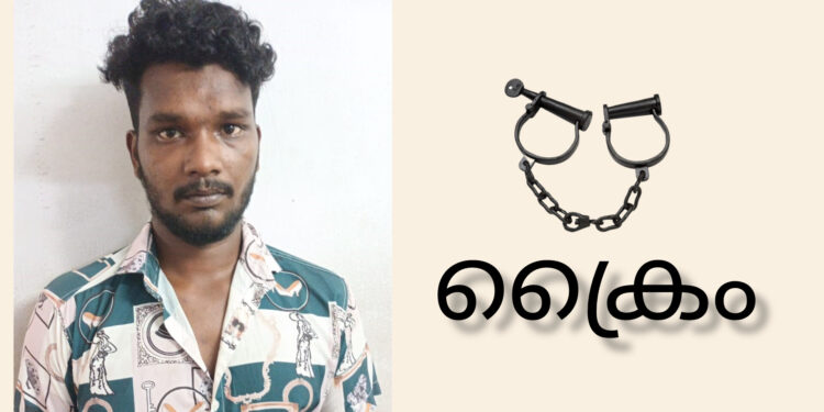 സൂപ്പർമാർക്കറ്റിൽ നിന്ന് മദ്യം മോഷ്ടിച്ചയാൾ പിടിയിൽ
