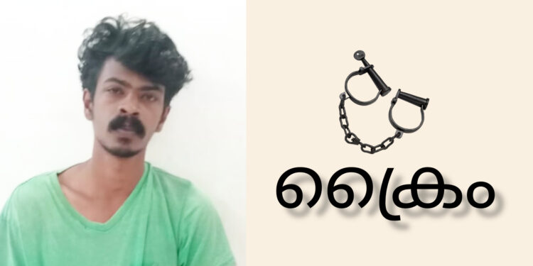 മദ്യം വാങ്ങി കൊടുക്കാത്തതിന്റെ പേരിൽ മധ്യവയസ്കനെ കൊലപ്പെടുത്താൻ ശ്രമിച്ച കേസിൽ യുവാവ് അറസ്റ്റിൽ