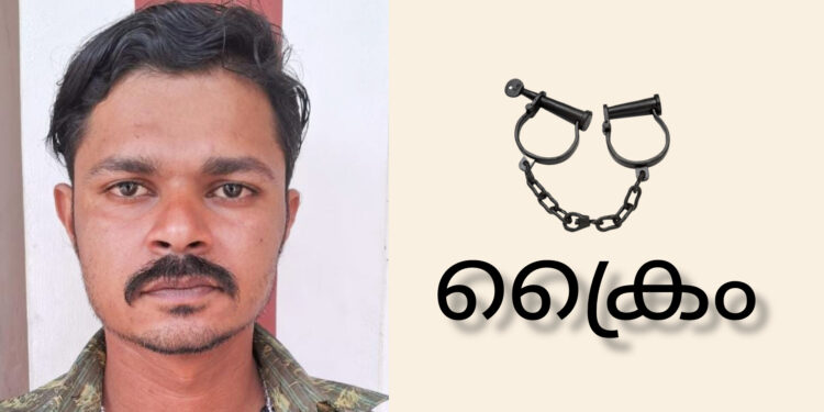 പ്രായപൂർത്തിയാകാത്ത പട്ടികജാതി പെൺകുട്ടിയെ പീഡിപ്പിച്ച കേസിൽ പ്രതിക്ക് 100 വർഷം തടവും പിഴയും