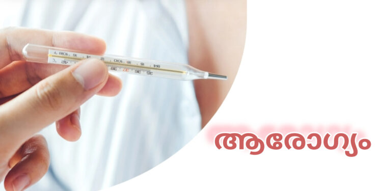 സംസ്ഥാനത്ത് പനിബാധിതരുടെ എണ്ണം നിയന്ത്രണതീതമായി വർദ്ധിക്കുന്നു