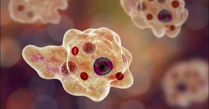 മൂന്നര വയസ്സുകാരന് അമീബിക് മസ്തിഷ്ക ജ്വരം സ്ഥിരീകരിച്ചു കോഴിക്കോട്