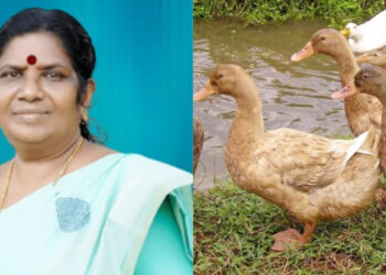 2025വരെ ആലപ്പുഴയിൽ താറാവ് അടക്കമുള്ള പക്ഷി വളർത്തലിന് നിരോധനം ഏർപ്പെടുത്തും: മന്ത്രി ജെ ചിഞ്ചുറാണി