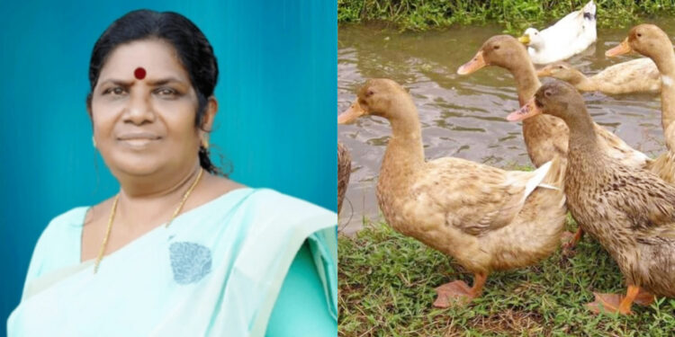 2025വരെ ആലപ്പുഴയിൽ താറാവ് അടക്കമുള്ള പക്ഷി വളർത്തലിന് നിരോധനം ഏർപ്പെടുത്തും: മന്ത്രി ജെ ചിഞ്ചുറാണി