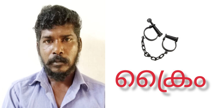 മോഷണ കേസിൽ ഒളിവിൽ കഴിഞ്ഞിരുന്നയാൾ പിടിയിൽ