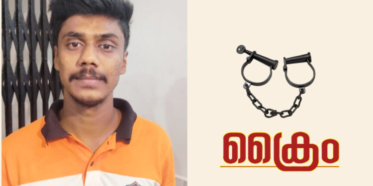 പലചരക്ക് കടയിൽ നിന്നും പണവും, മധ്യവയസ്കനിൽ നിന്ന് മൊബൈൽ ഫോണും കവർന്നെടുത്ത കേസിൽ യുവാവ് അറസ്റ്റിൽ
