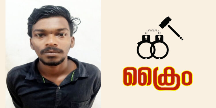 മൊബൈൽ മോഷണം: യുവാവ് അറസ്റ്റിൽ