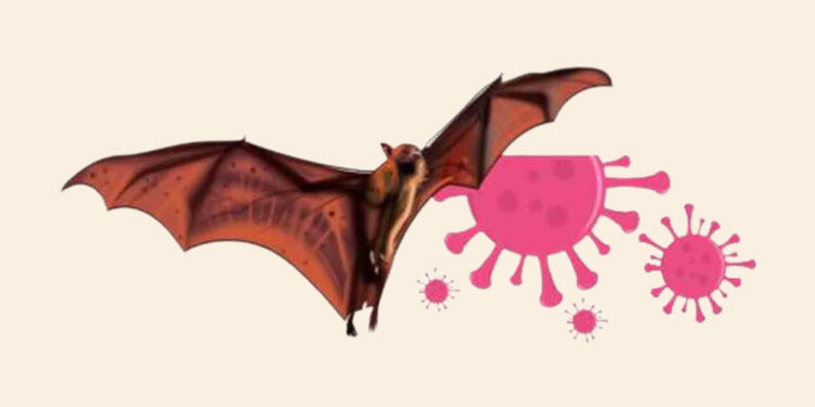 നിപ വൈറസ് ബാധിച്ച് 14 വയസ്സുകാരന്റെ മരണം: പ്രത്യേക സംഘത്തെ വിന്യസിക്കുമെന്ന് കേന്ദ്രം