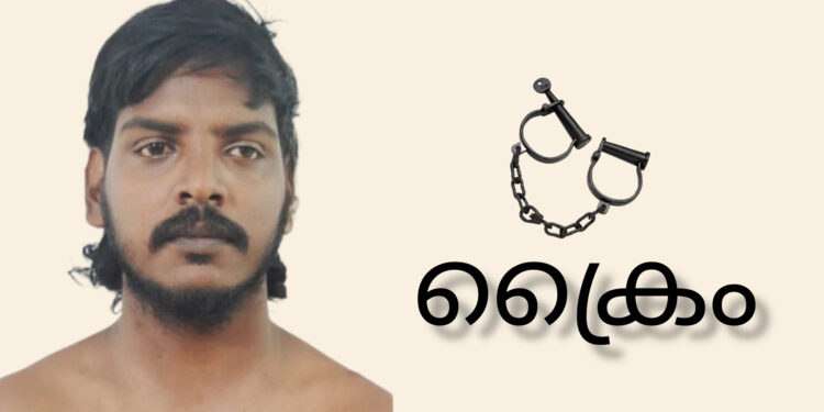 പ്രായപൂർത്തിയാകാത്ത പെൺകുട്ടിയെ പ്രണയം നടിച്ച് പീഡിപ്പിച്ച കേസിൽ യുവാവ് അറസ്റ്റിൽ