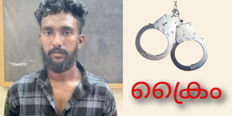 യുവാവിനെ വഴിയിൽ വച്ച് ആക്രമിച്ച് കൊലപ്പെടുത്തിയ കേസിലെ പ്രതി പോലീസിന്റെ പിടിയിൽ