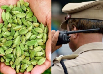 ഇടുക്കിയിൽ ഏലം കർഷകരെ കബളിപ്പിച്ച് കോടികൾ തട്ടിയെടുത്തതായി പരാതി