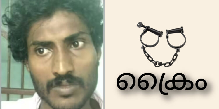 കഞ്ചാവ് സൂക്ഷിക്കാൻ വിസമ്മതിച്ചതിന്റെ പേരിൽ അയൽവാസിയെ ആക്രമിച്ച കേസിലെ പ്രതിയായ യുവാവ് അറസ്റ്റിൽ