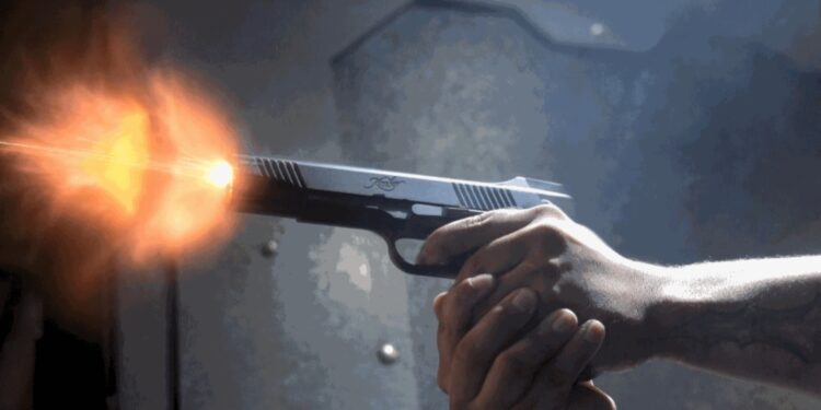 മൂവാറ്റുപ്പുഴയിൽ അര്‍ദ്ധ സഹോദരങ്ങള്‍ തമ്മിലുള്ള തര്‍ക്കത്തിനിടെ; വെടിവെപ്പ് ഒരാൾക്ക് ഗുരുതര പരുക്ക്